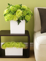 feng-shui-green-color-James-Baigrie-g