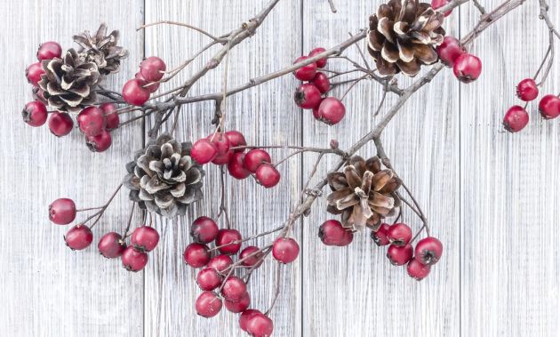 7-ideas-para-hacer-mas-acogedora-tu-casa-para-las-fiestas-decembrinas-5